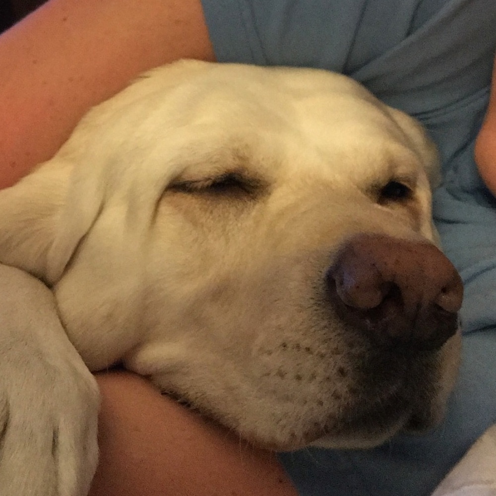 Meet your Posher, Cooper